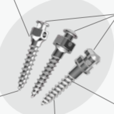 Titanium Alloy Microimlant Mini Vida