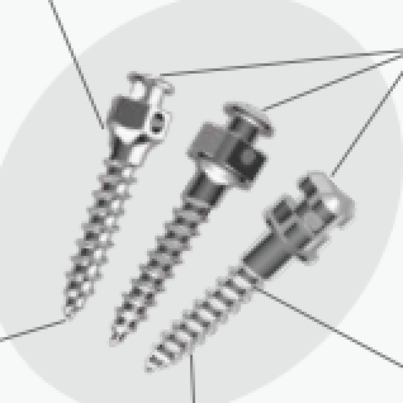 Titanium Alloy Microimlant Mini Vida