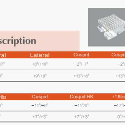 Seramik Braket Roth 0.22 EIII Mesh Base