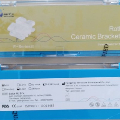 Seramik Braket Roth 0.22 EIII Mesh Base