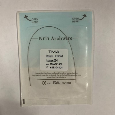 TMA-Ovoid Lower 014