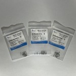 Torque Spring 10lu paket